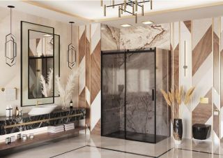 Душевая дверь Ambassador Benefit 19022204HBB 150см чёрный/тонированное