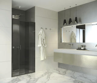 Душевая дверь Alex Baitler AB64B110 110?200 см