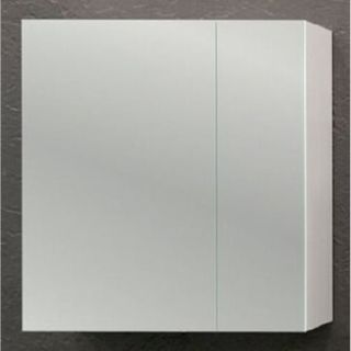 Зеркало-шкаф Stella Polar Паола  SP-00000434 60х70