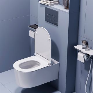 Подвесной унитаз Damixa Eclipse DX31C1738SC