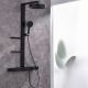 Душевая стойка Black&White Gravity 9005NMB с термостатом чёрный матовый