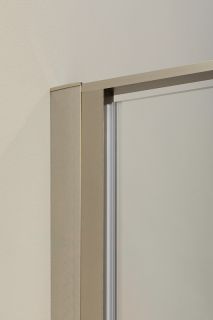 Душевая дверь Allen Brau Priority 100 3.31005.BA профиль Серебро