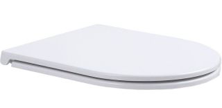 Сет Sintesi SIN-CCI-SMP-101,SIN-FB-DSS-507,SIN-TS-EVI-151: инсталляция кнопка смыва нержавеющая сталь унитаз Evi белый крышка-сиденье белая