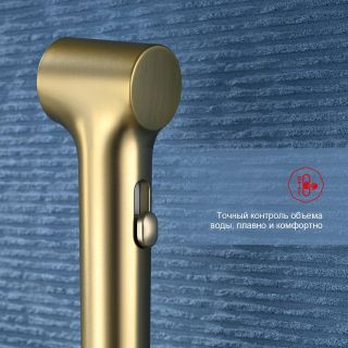 Гигиенический душ со смесителем Raglo R03.51.03 золотой сатин