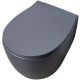Подвесной унитаз Allen Brau Fantasy 4.11004.AN безободковый антрацит