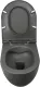 Подвесной унитаз Isvea Infinity 10NF02001SV-2C безободковый крышка микролифт антрацит матовый