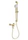 Смеситель для ванны с душевым гарнитуром Wonzon & Woghand Click WW-FE05L222-BG брашированное золото