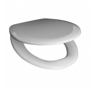 Крышка для унитаза Roca Mateo ZRU9302815