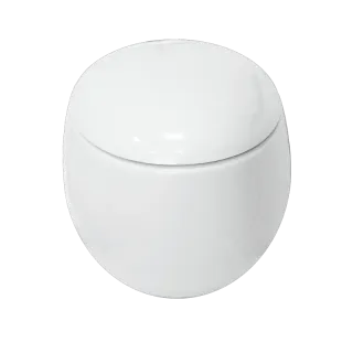 Унитаз Sanita Luxe Ringo WC.WH/Ringo/DM/WHT.G/S1 с сиденьем Микролифт