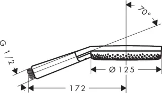 Душевая лейка Hansgrohe Raindance Alive Select S 24500000 хром