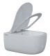 Подвесной унитаз Berges EGO XL Rimless 082138 с функцией биде сиденье дюропласт Okus Slim SO белый