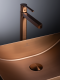 Раковина AltroBagno Futuro 001015 RaSp из нержавеющей стали медь матовая