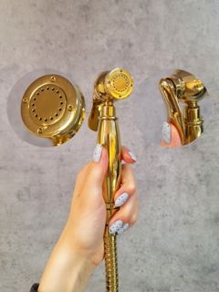 Встраиваемый гигиенический душ AltroBagno Beatrice 060113 Or