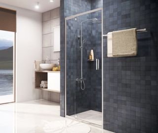 Душевая дверь Wasserkraft Berkel 48P13 110x200