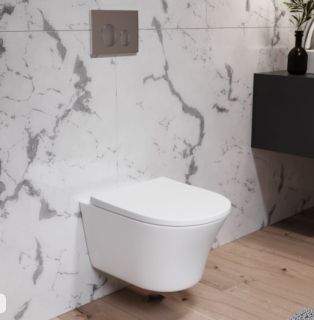 Унитаз Damixa Skyline безободковый с сиденьем микролифт DX35C1700SC