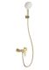 Смеситель для душа с гарнитуром Wonzon & Woghand Alfa WW-AE3102-BG брашированное золото