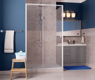 Душевая дверь Wasserkraft Rhin 44S05 120x200 см