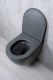 Унитаз подвесной Tornado Gid Tr2122TF-Dgm 62260Y серый матовый 49x36x36