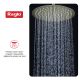 Верхний душ Raglo R451.56.03 золотой сатин